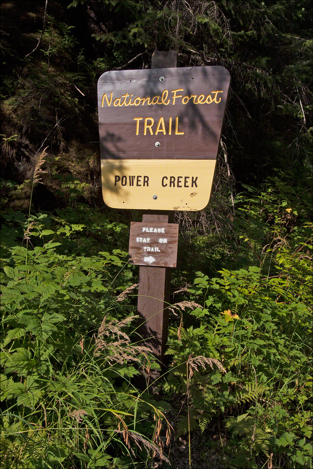 Power Creek Trail