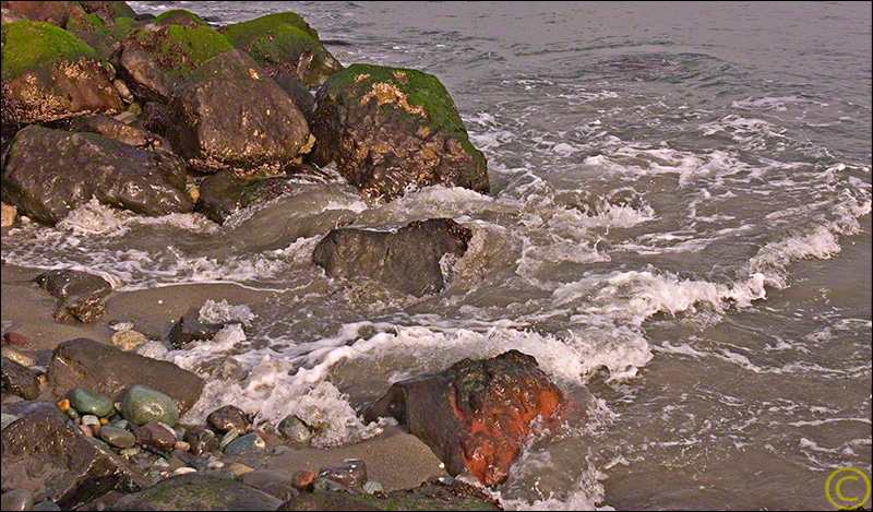 Seashore at Fort Worden