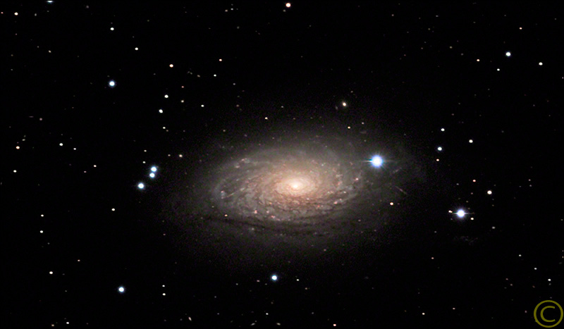 Sunflower Galaxy