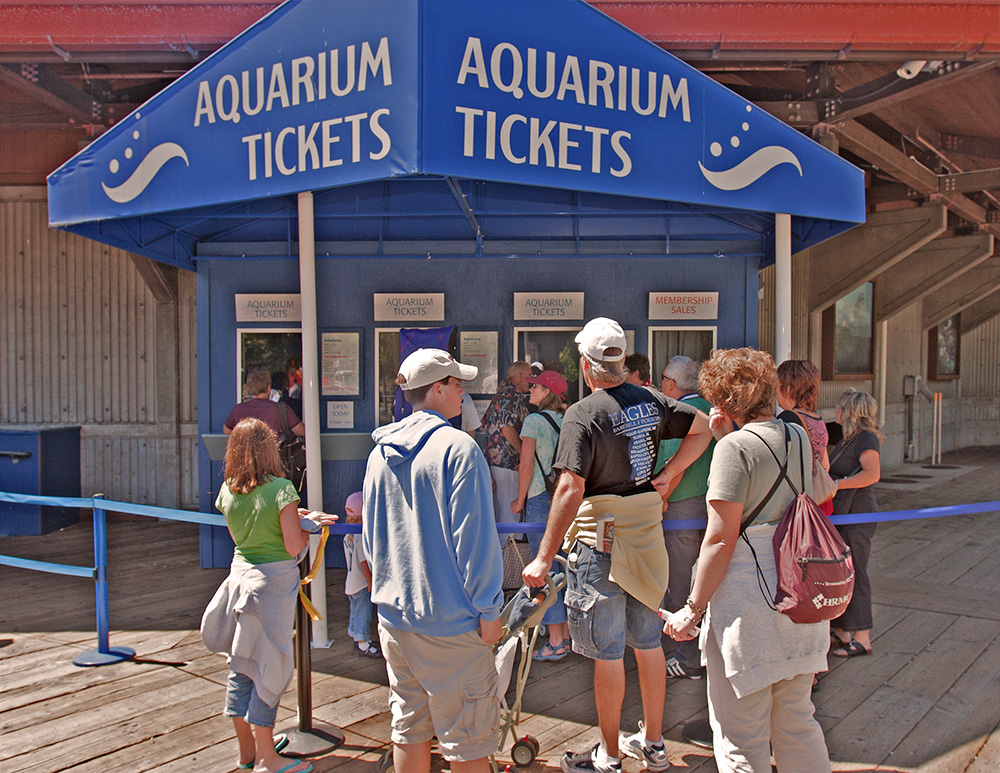 At the Aquarium