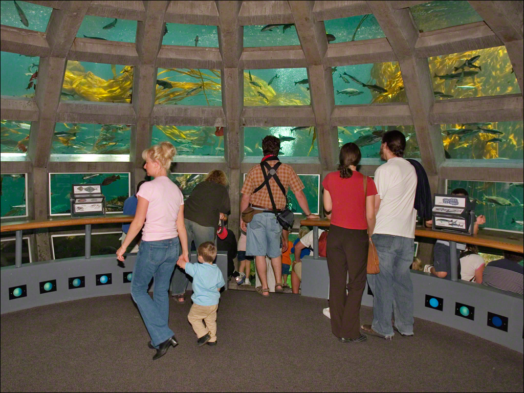 Inside the Aquarium Dome