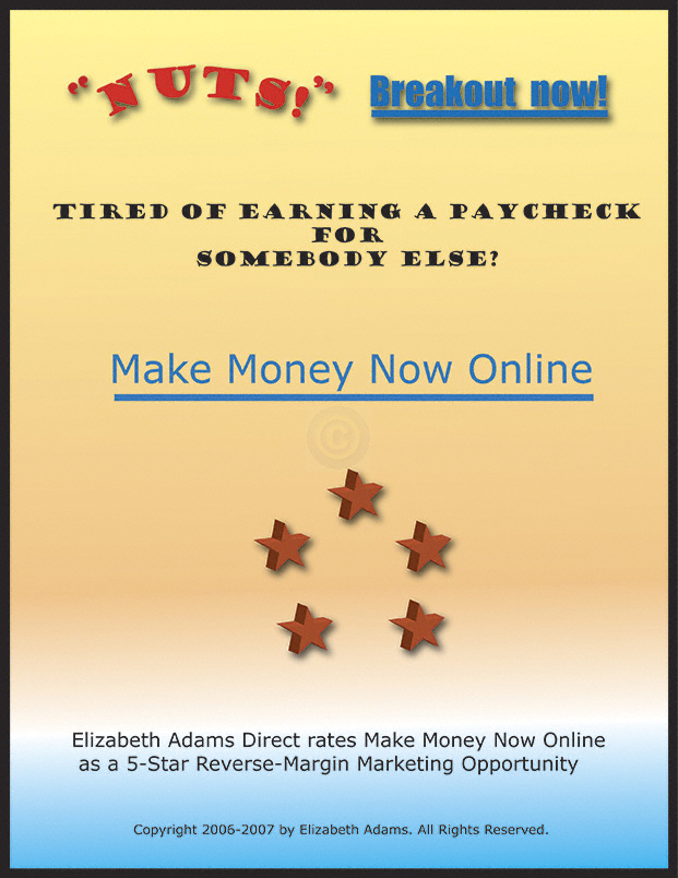 Make Money Now Online