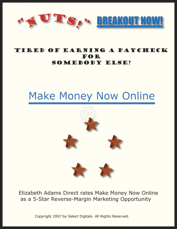 Make Money Now Online