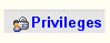 Privileges Tab