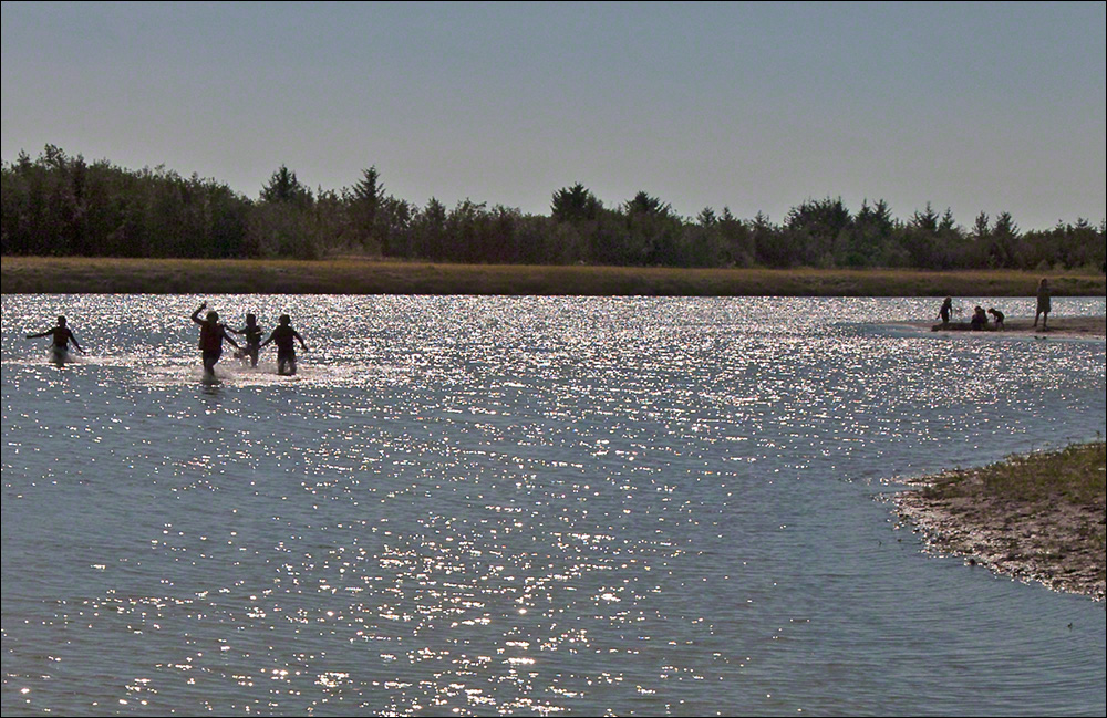 Alaganik Slough