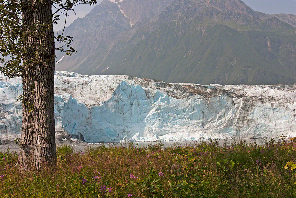 Childs Glacier