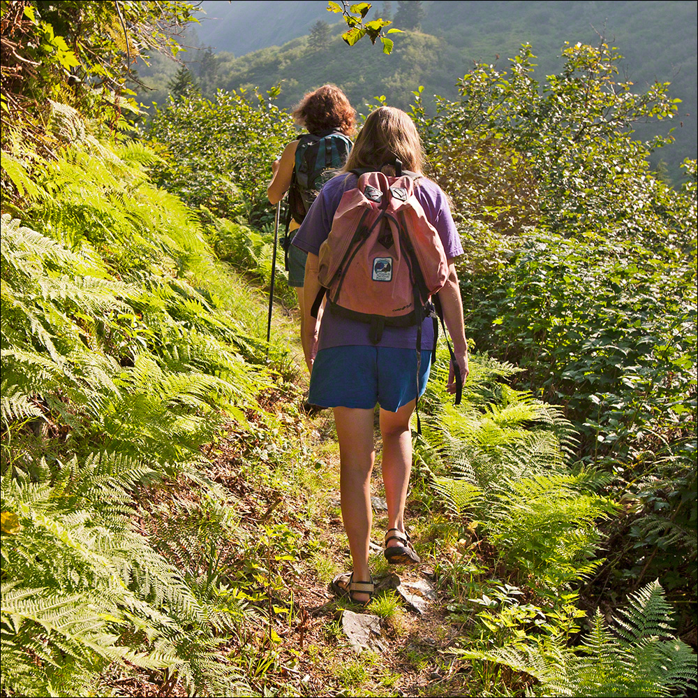 On the Trail