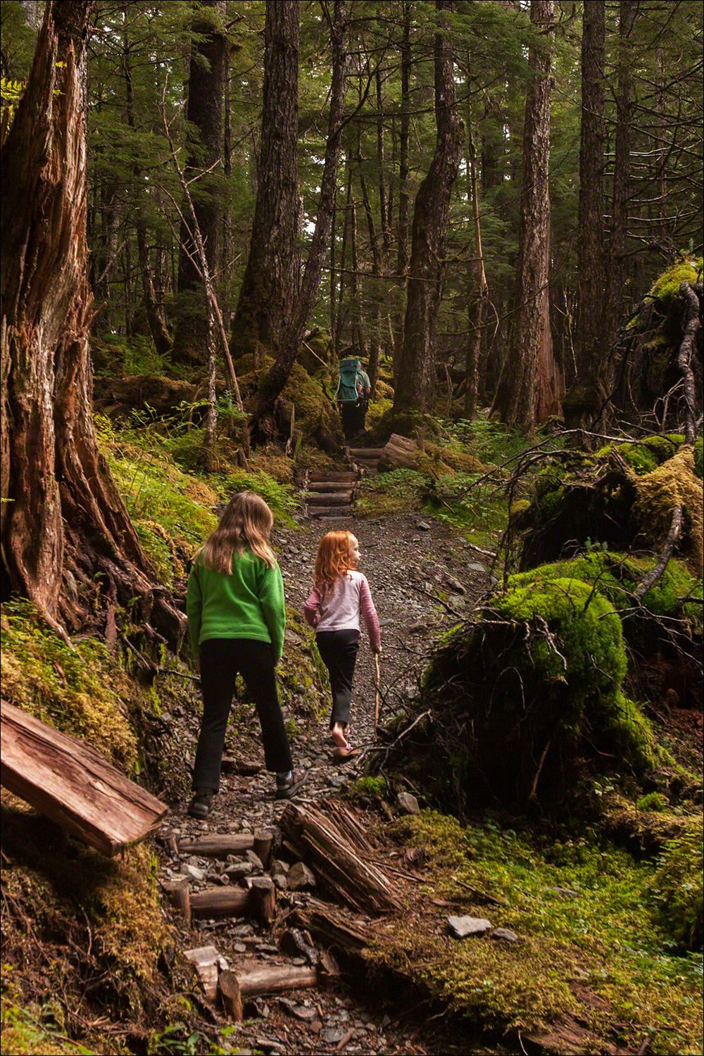 Hiking Through the Woods