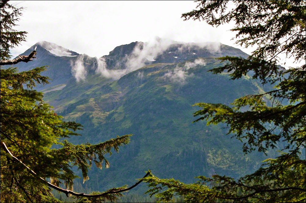 View from the Trail