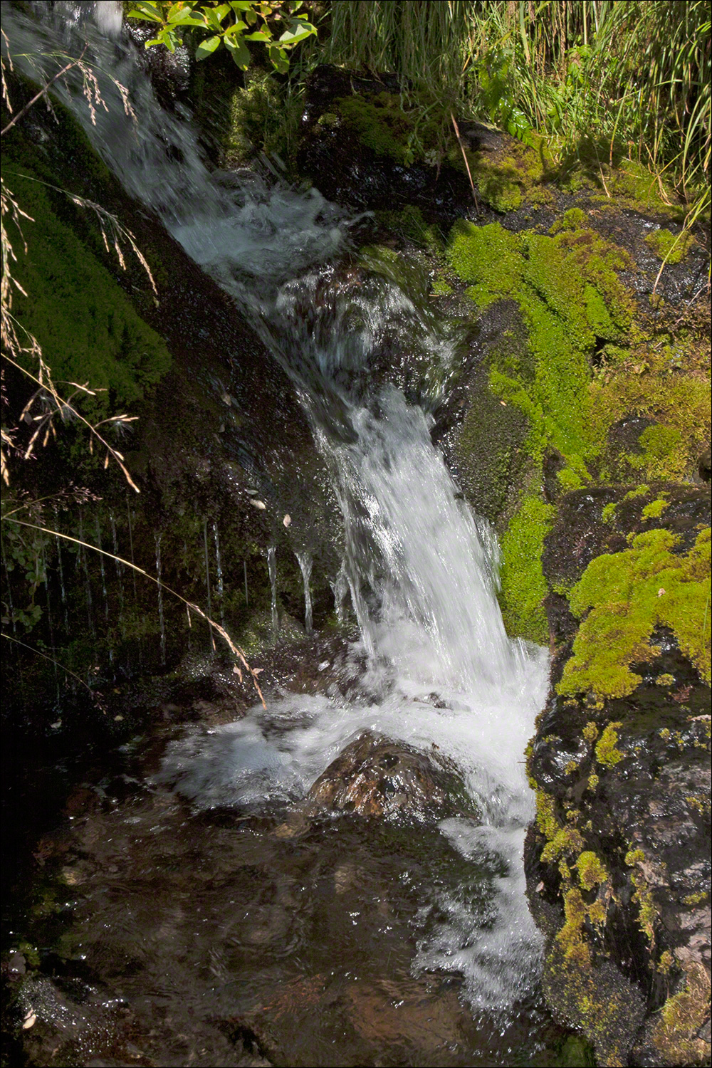 Mountain Stream