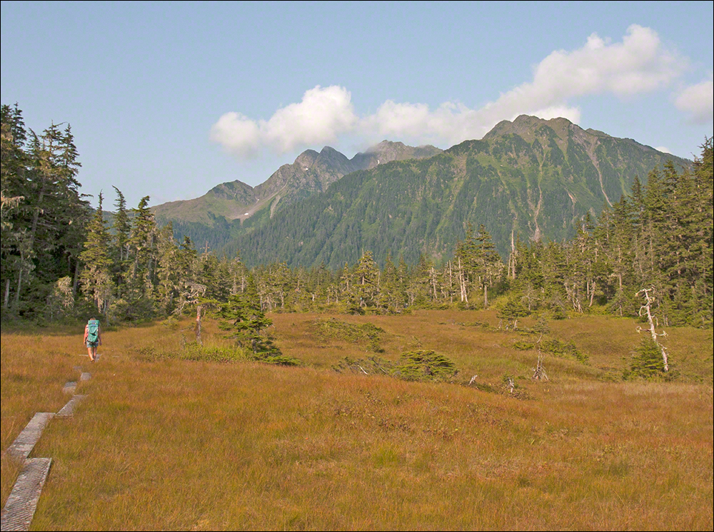 View from the Eyak River Trail