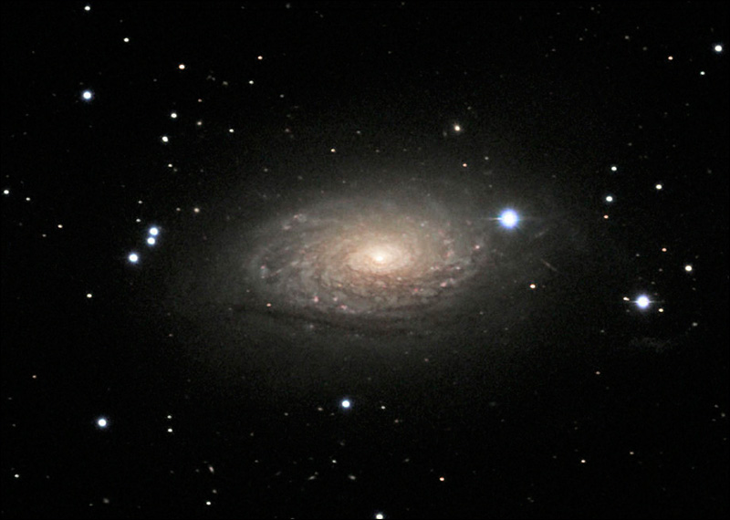 Sunflower Galaxy