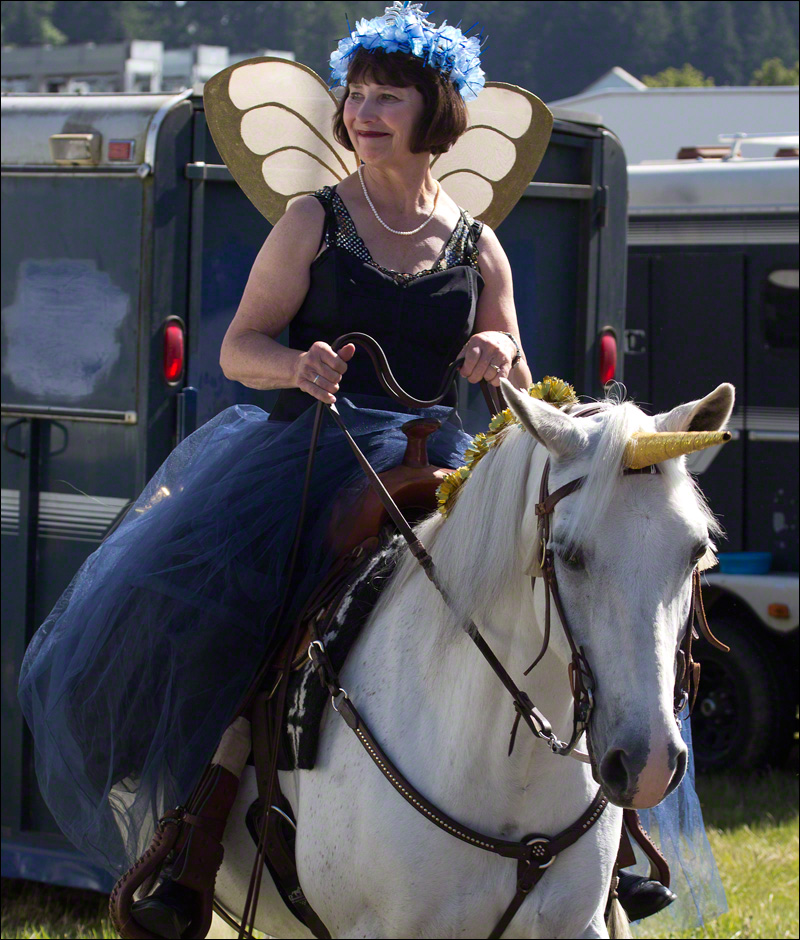 Fairy and Unicorn from the Enchanted Forrest