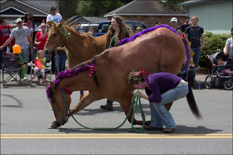 Take a Bow for a Great Parade