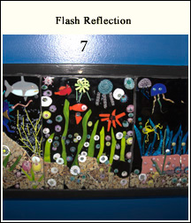 Flash Reflection With Lens Distortion