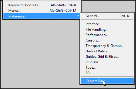 Camera Raw Preferences Under Edit Menu