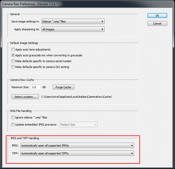 Camera Raw Preferences