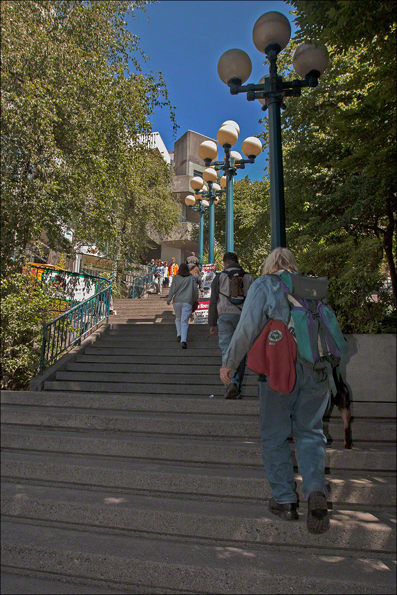 Hiking to the Market