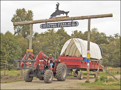 Returning From The Hunter Farms' Pumpkin Patch