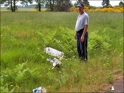 Great Planes Easy Sport?After The Crash
