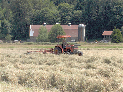 Harvesting Hay At Hunter Farms
