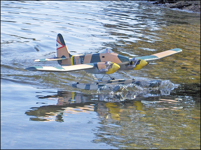 Richard Robb Brings Home His Twin At At Nahwatzel Lake