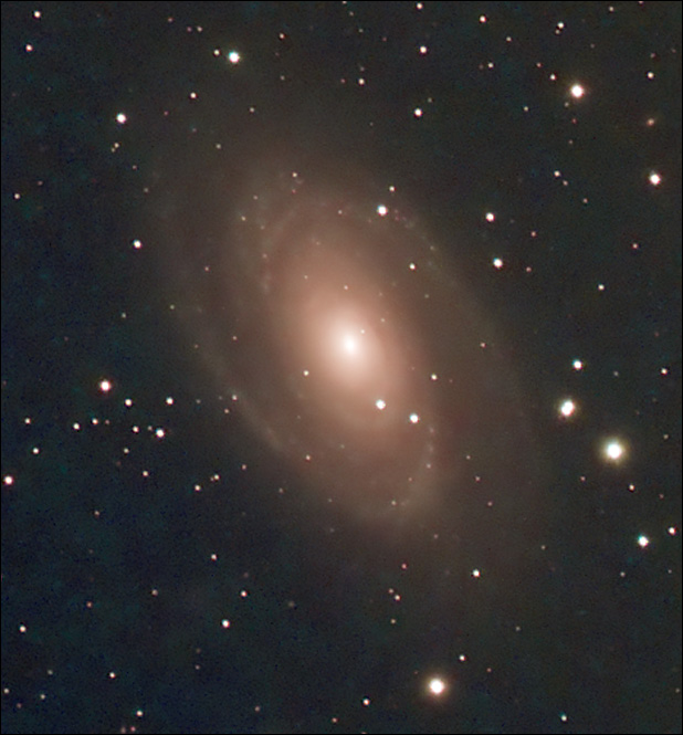 m81