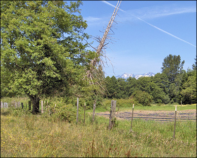 A Beautiful Day at Hunter Farms